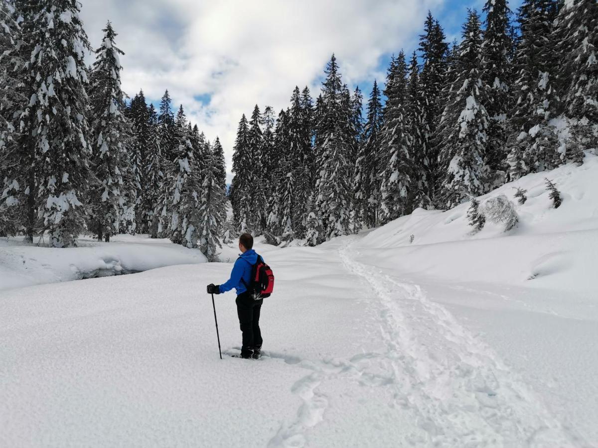 Hotel Garni Sottobosco Dimaro Eksteriør billede